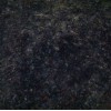Vizag Blue Granite Tile