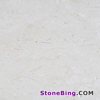 Caliza Alba Limestone Tile