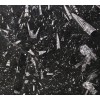 Fossil Black Marble Slab