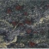 Azul Barracuda Granite