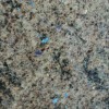 Blue Eyes Granite