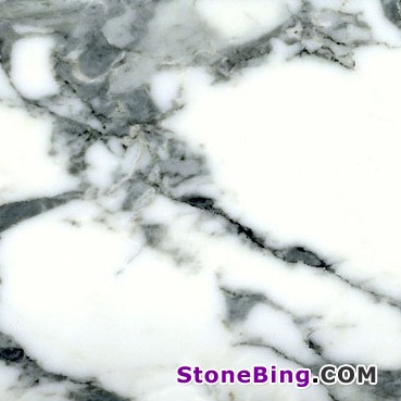 Arabescato Corchia Marble