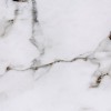 Arabescato Vagli Marble