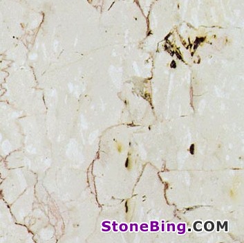 Trani Fiorito Marble
