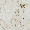 Trani Fiorito Marble