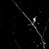Nero Marquina Marble