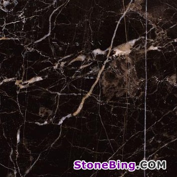 Noir Saint Laurent Marble