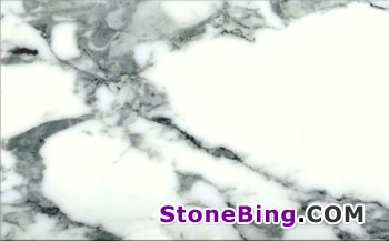 Arabescato Corchia Marble Tile