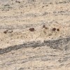 Gold Vyara Granite Tile