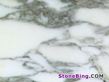 Arabescato Corchia Marble Tile
