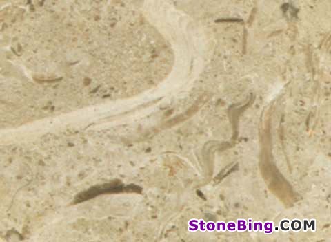 Aurisina Fiorita Marble Tile