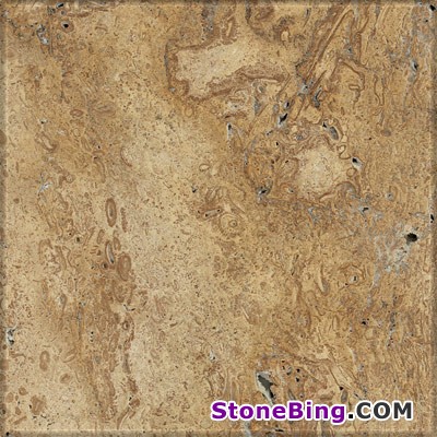 Aridaia Travertine Tile