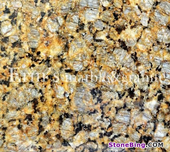 Butterfly Gold Granite Tile