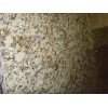 Giallo Napoli Granite Slab