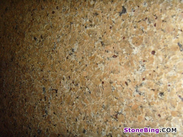 Veneziano Gold Granite Slab