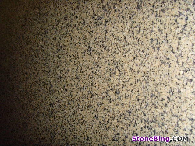 Tropic Gold Granite Slab