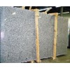 Azul Platino Granite Slab