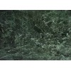 Green Tinou Marble Tile