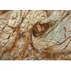 Brown Forest Marble Tile
