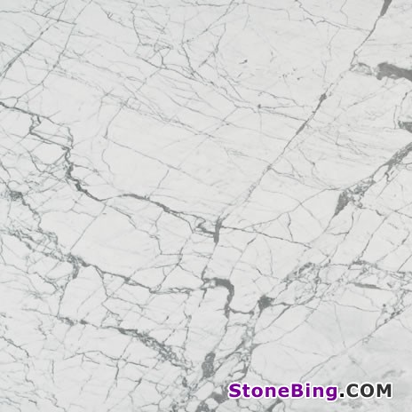 Bianco Venatino Marble Tile