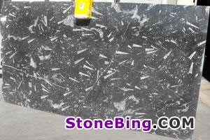 Morrocan Fossil Black Marble Slab