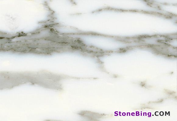 Arabescato Corchia Marble