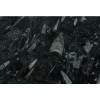 Fossil Black Marble