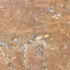 Toscano Travertine Tile