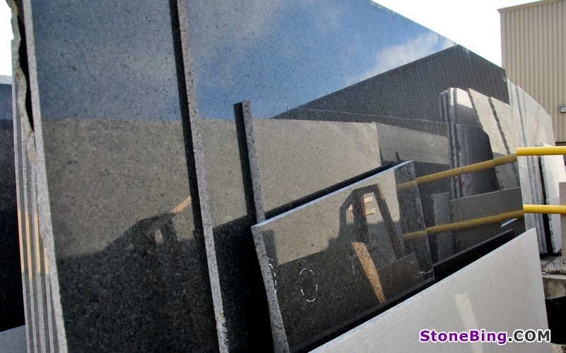 Coral Black Granite Slab