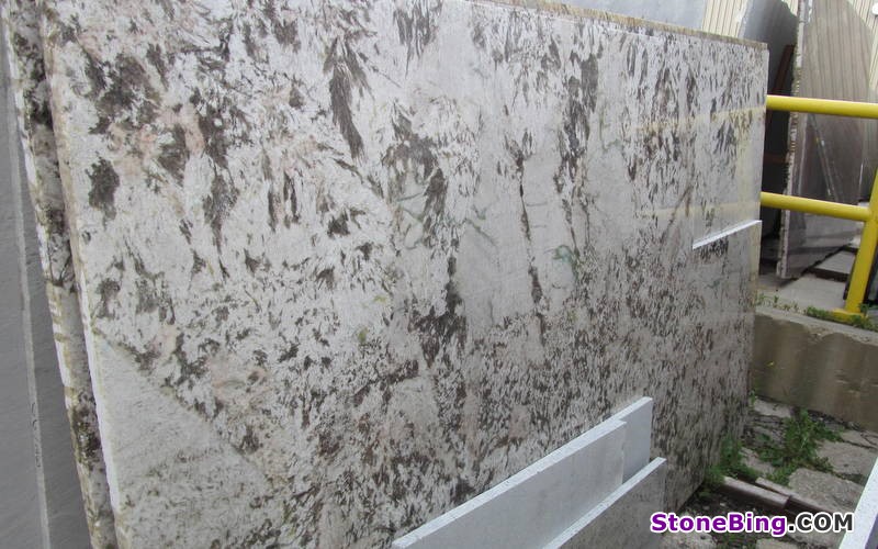 Bianco Venus Granite Slab