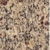 Giallo Cecilia Granite Tile