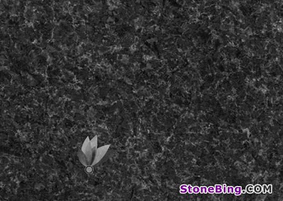 Angola Balck Granite Tile