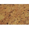 Golden Oak Granite Slab