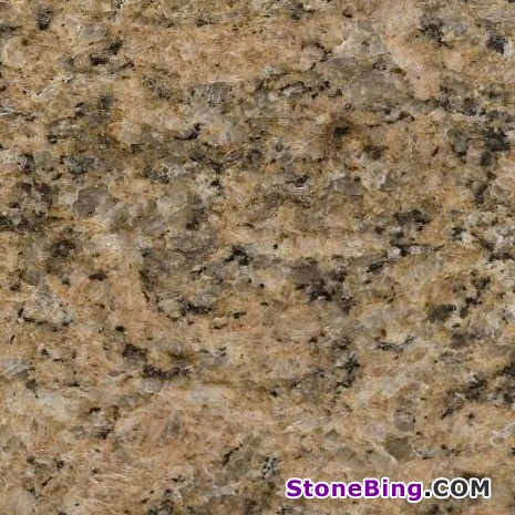 Giallo Fiorito Granite Tile