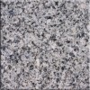 Azul Platino Granite Tile