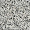 Bianco Sardo Granite Tile