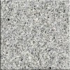 Snow White Granite Tile