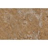 Arandis Light Granite Tile