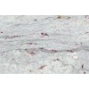 Kashmir Valley Granite Tile