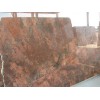 Summer Red Granite Slab