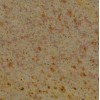Golden Fantasy Granite Tile