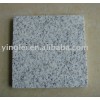 polished granite panel