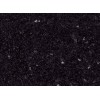 Star Galaxy Granite Tile