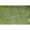 Mystic Green Marble Tile