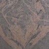 Juperana Colombo Granite Tile