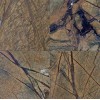 Rainforest Brown Marble Tile