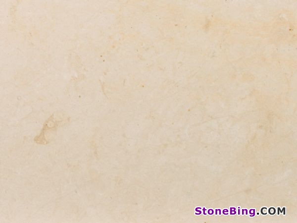 Thala Beige Limestone Tile