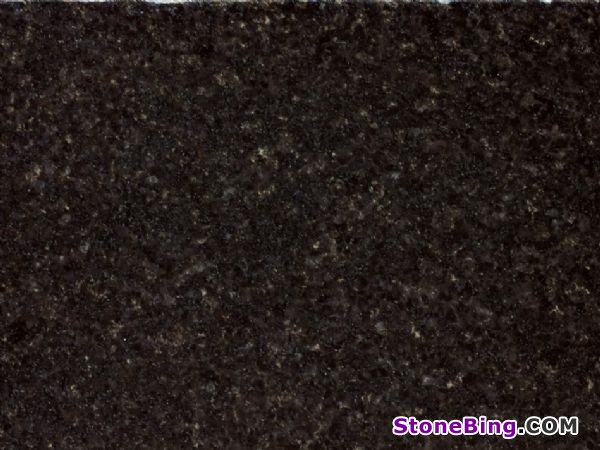 Labrador Black Granite Tile