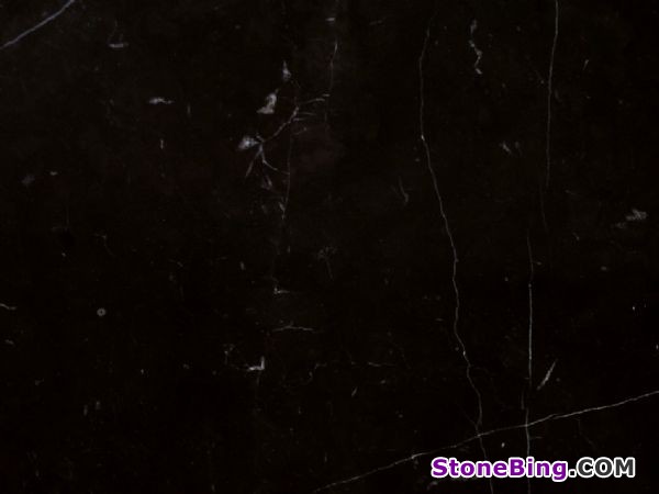 Nero Marquina Marble Tile