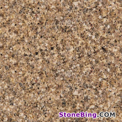 Giallo Antico Granite Tile